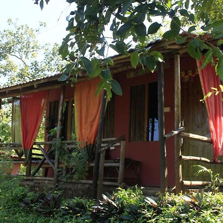 Отель Galaxy Jungle Huts Агонда Экстерьер фото