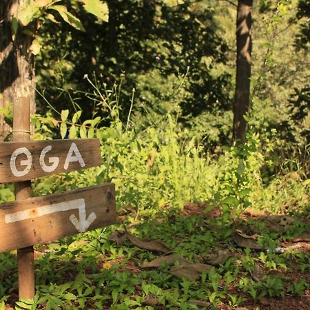 Отель Galaxy Jungle Huts Агонда Экстерьер фото