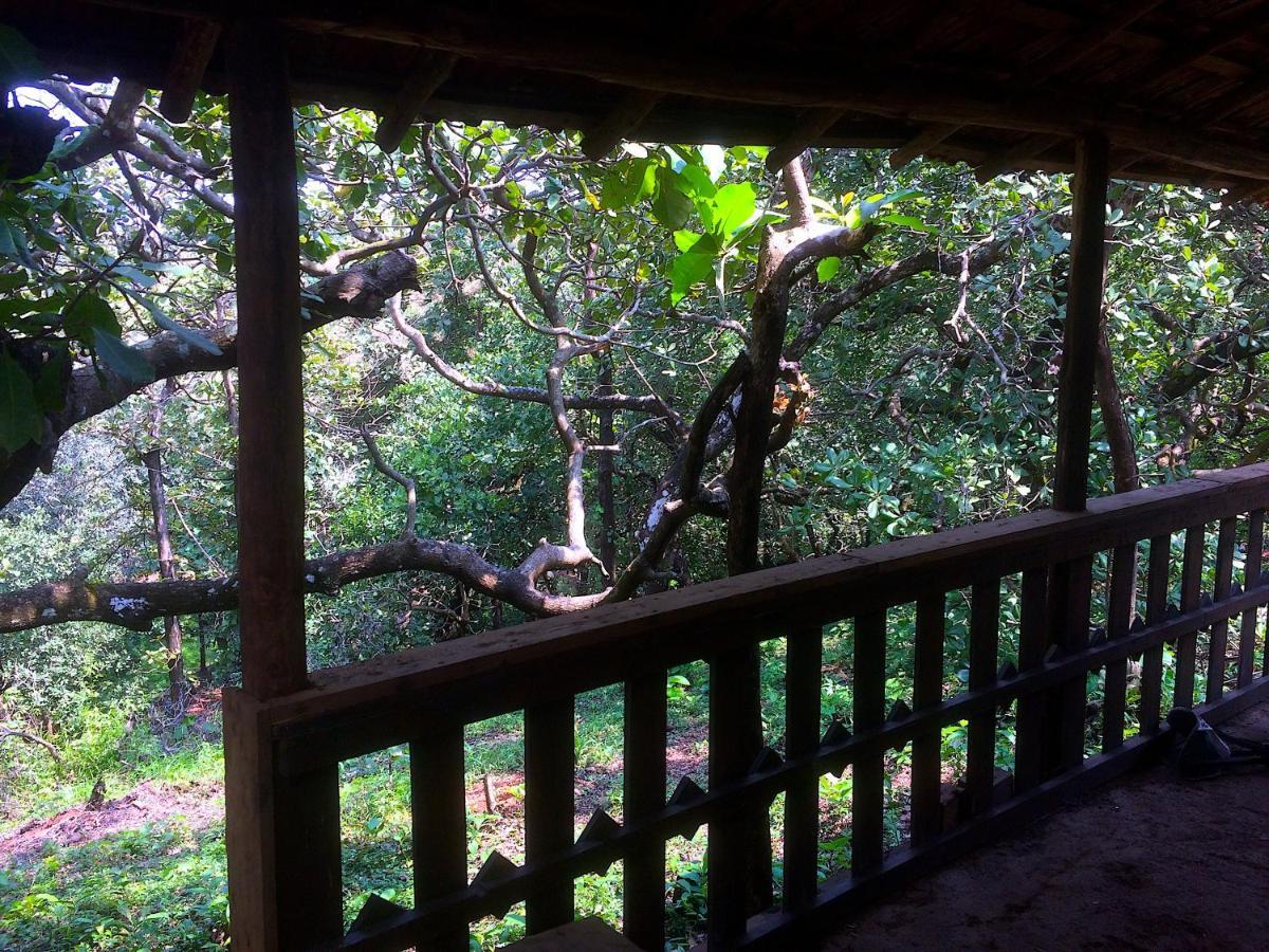 Отель Galaxy Jungle Huts Агонда Экстерьер фото