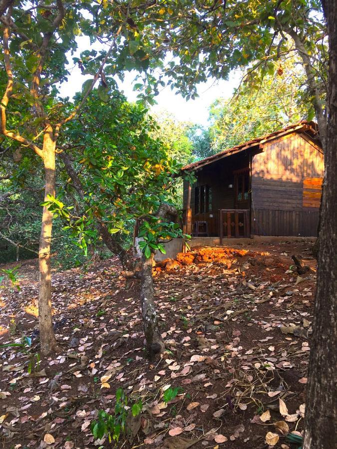 Отель Galaxy Jungle Huts Агонда Экстерьер фото