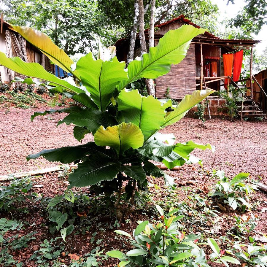 Отель Galaxy Jungle Huts Агонда Экстерьер фото