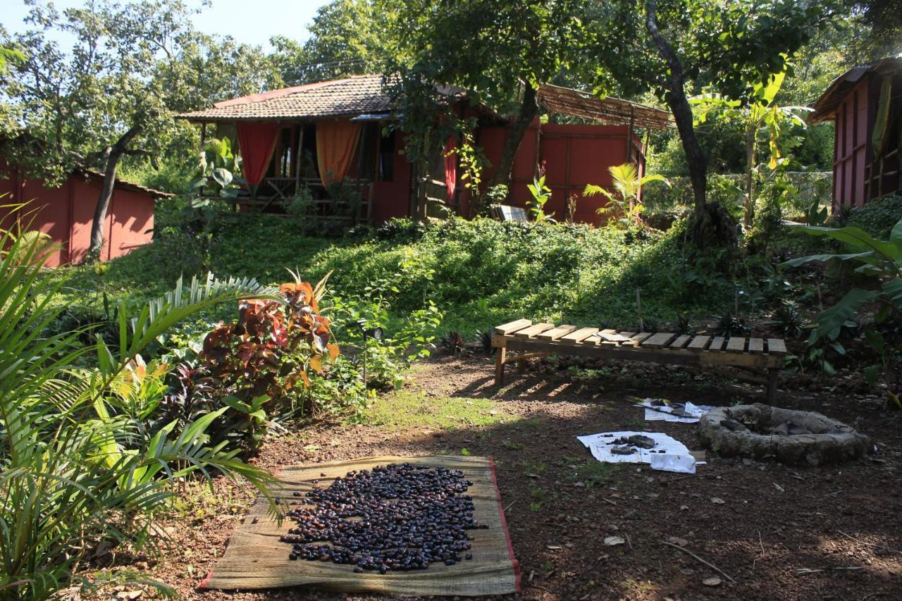 Отель Galaxy Jungle Huts Агонда Экстерьер фото