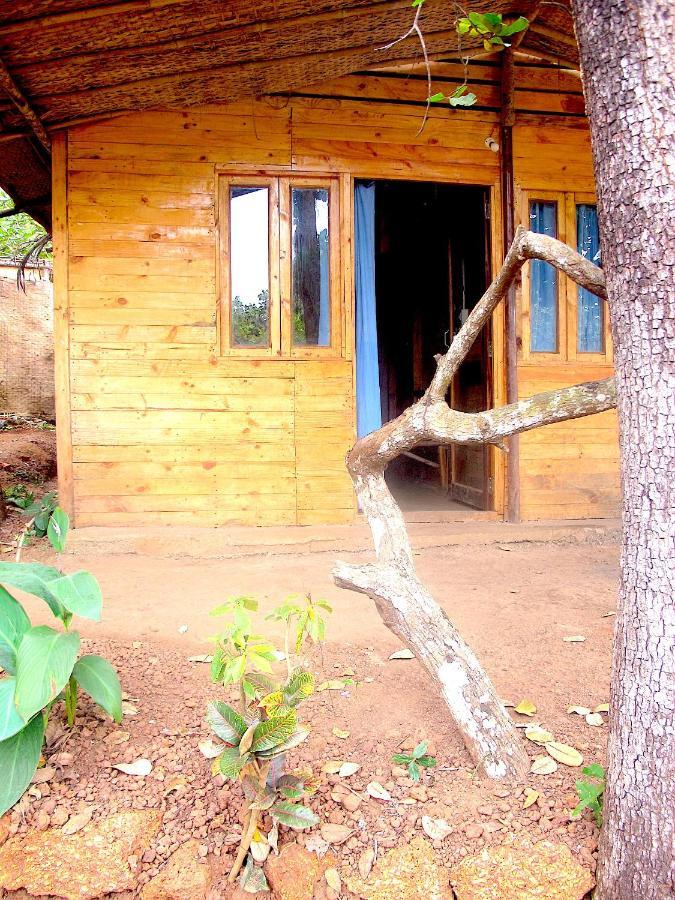 Отель Galaxy Jungle Huts Агонда Экстерьер фото